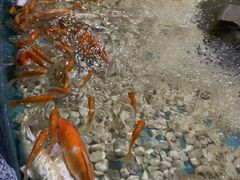 -龙谷湾旅游休闲度假区
