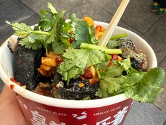 -黑色经典臭豆腐·湖南特产(坡子街店)