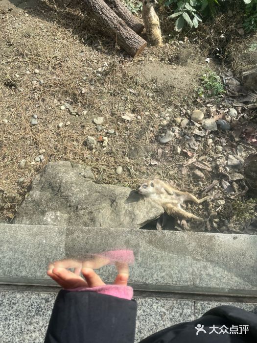 成都动物园图片