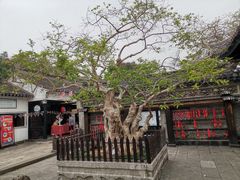-中山詹园