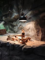 -Zoolung Zoolung动物主题公园(海信广场店)