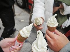 -富豪雪糕车流动点(尖沙咀店)