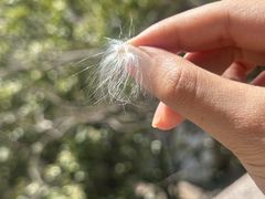 -白鹿洞书院