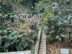 -梧桐山风景名胜区