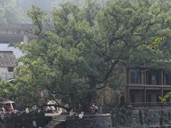 -上坦村