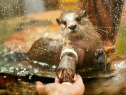 -Zoolung Zoolung动物主题公园(海信广场店)