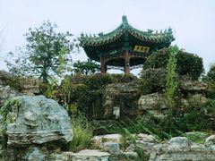 -武清南湖绿博园