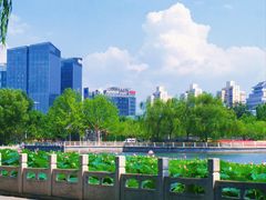 -莲花池公园