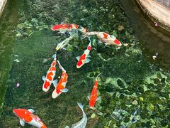 -红河印象美食文化酒楼(强盛路店)