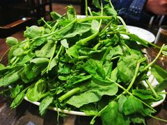 -丁月玉兔王(大渡口店)
