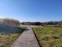 -良渚古城遗址公园
