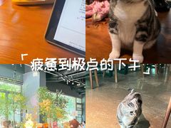 -咖法森林·咖啡  酒吧(天河店)