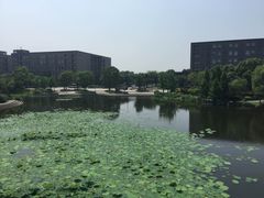 -无锡新湖铂尔曼大酒店