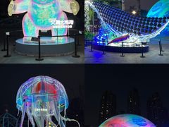 -海合安成都极地海洋公园