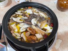 -蘑统田下·野生菌火锅