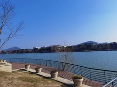 -羊山湖公园