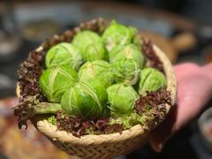 -大龙燚·旷野鲜火锅(广州首店)