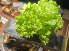 -九田家黑牛烤肉料理(新辰里亚运村店)