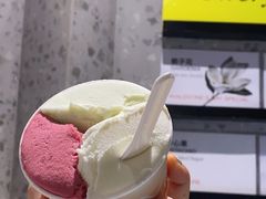 -Dip in Gelato(富民路店)