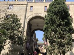 -武汉大学-樱园