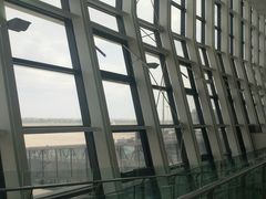 -温州龙湾国际机场