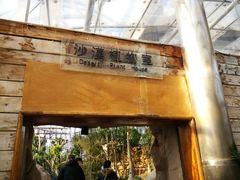 -北京植物园-展览温室