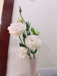 -小梨·OndaPro·专业脱毛连锁机构