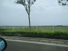 -南汇嘴观海公园