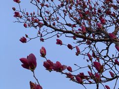 -滆湖低碳生态公园