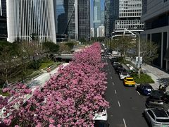 -深圳湾万象城(南山店)