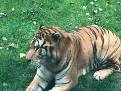 -北京野生动物园