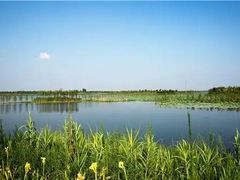 -南湖湿地公园