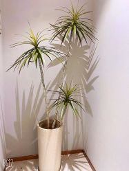 -Lily纤美·科技减脂中心