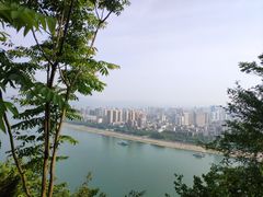 -小李子油焖大虾(天下城旗舰店)