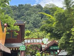 -野象谷景区