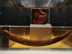 -金沙遗址博物馆