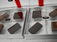 -BLACKSWAN黑天鹅(环球店)