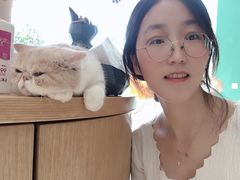 -飞行喵MR PILOT|猫舍·猫咖(静安大融城店)