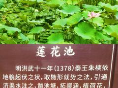 -莲湖公园
