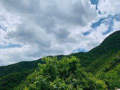 -阳台山自然风景区