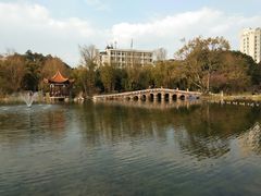 -北湖公园