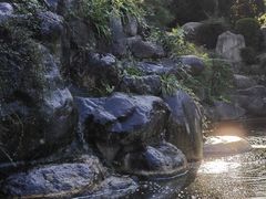 -中国唐苑