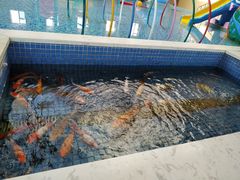 -陆地游轮吉林神农温泉