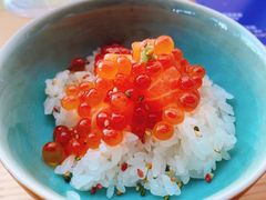 -人间酒暖·Go blanc·烧鸟·深夜食堂(陆家嘴店)