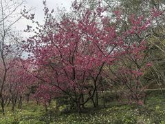 -福清灵石山国家森林公园