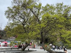 -冶父山国家森林公园