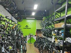 -道路口单车爱瓦士dahon大行