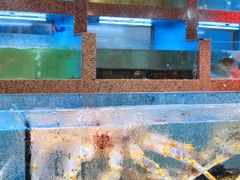 水产区-渔人湾码头海鲜市场负二楼