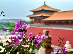 -故宫博物院(故宫)