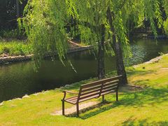-上海滨江森林公园